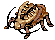 Golden Thief Bug